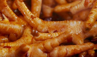 胖哥俩的鸡爪煲怎么做 鸡爪煲怎么做