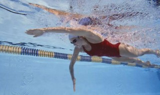 自由泳划手发力技巧 自由泳划手发力技巧视频