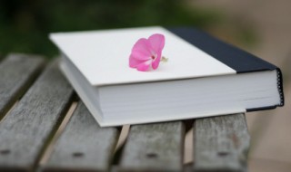 短在文言文中是什么意思（短用文言文怎么说）