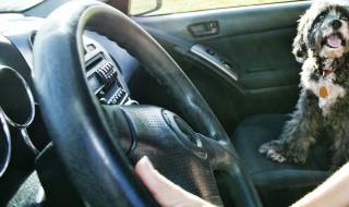 汽车行业缺芯到底多严重（汽车行业缺芯到底多严重啊）