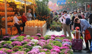 什么花的花语是友情 什么花的花语是友情长长久久