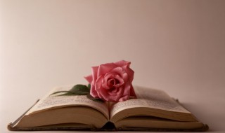 中庸之道是什么意思详细含义 中庸的道是什么意思