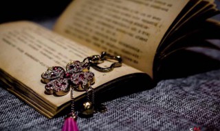 绿肥红瘦暗指什么感情和意思 绿肥红瘦的含义