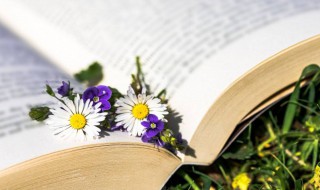 顶真的修辞手法作用是什么（顶真的修辞手法指的是什么）