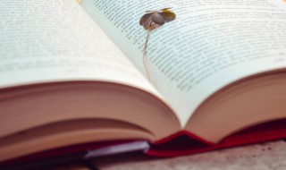 邯郸学步的意思寓意和典故（邯郸学步的寓意是什么?比喻是什么）