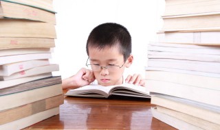 崽怎么读（蚊子的幼崽怎么读）