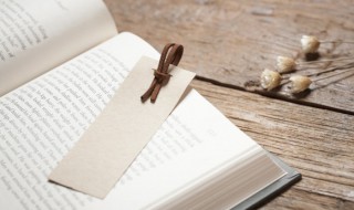 系的组词（系的组词和部首）