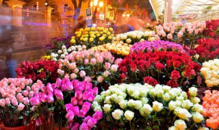 花用英语怎么说（花用英语怎么说读）