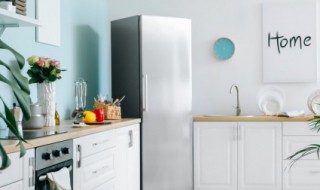 fridge英语怎么读（dishes英语怎么读）