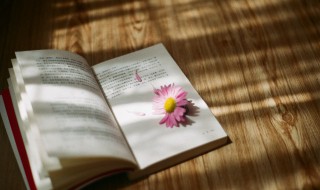 茨门的意思是什么 具茨是什么意思