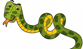 梦见自己养毒蛇什么预兆（梦见自己养毒蛇什么预兆呢）