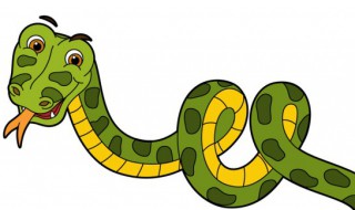 遇见蛇咬自己的预兆 遇见蛇咬自己的预兆解梦