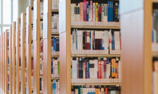 仅的组词（仅的组词多音字）