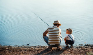 甲鱼怎么钓 甲鱼怎么钓用什么钩