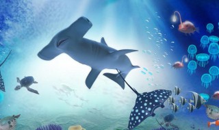 梦见很大的鱼在水里游（女人梦见很大的鱼在水里游）