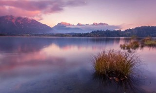 优秀经典美文（经典美文摘抄800字）