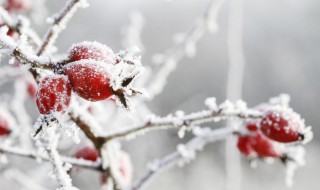 提醒别人添衣保暖的句子 提醒添衣保暖的短句