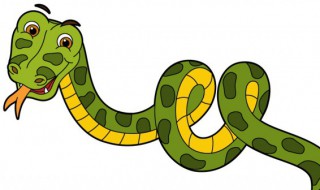 蛇进车里是吉还是凶 蛇进车里是好事吗