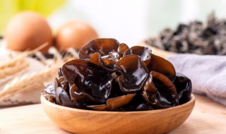 木耳白菜片的做法 木耳白菜片的做法视频