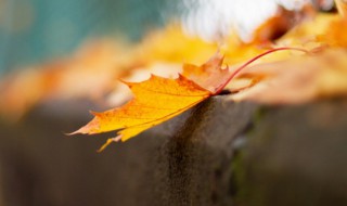 朋友早上问候关心语句 早上朋友问候语及关心话