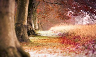 励志正能量早安朋友圈选择 励志的早安朋友圈