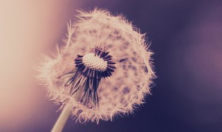 送给好朋友的早安心语 送给好朋友的早安心语短句