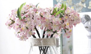 假花为什么不能放客厅 假花为什么不能放客厅中间