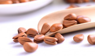 松子什么人不能吃呢（松子哪些人不能吃）