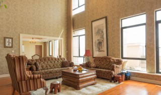 家庭客厅放什么花草最适合（客厅摆放什么花草最好）