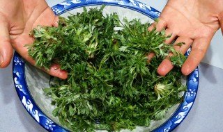 苦蒿哪些人不能吃 苦蒿什么人不能吃