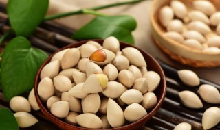 银杏果储存方法 银杏果储存方法有哪些