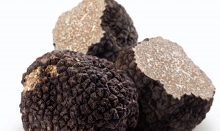 黑松露储存方法 黑松露储存方法和用途