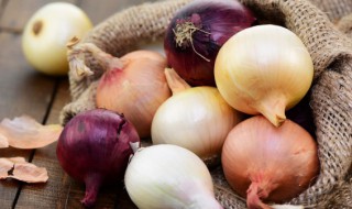 圆葱的储存方法（圆葱怎么储存过冬）
