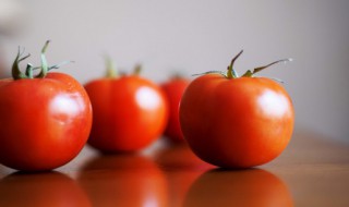 西红柿保鲜储存方法（西红柿保鲜储存方法视频）