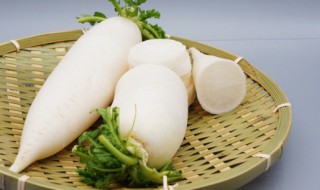 大萝卜储存方法（大萝卜储存方法图片）