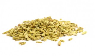 茴香储存方法 茴香储存方法视频