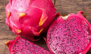 红心火龙果储存方法 红心火龙果储存方法图解