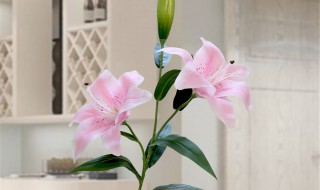 客厅摆放假花不好吗 客厅里放假花好吗