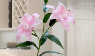 客厅里摆放假花好吗（客厅里摆放假花好吗?）