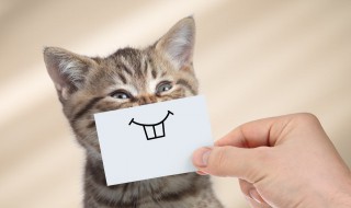 搞笑女生网名大全霸气（搞笑女生网名大全霸气超拽）