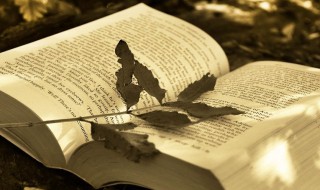 秋天出生的女孩子取什么名字好 秋天出生的女孩子取什么名字好呢