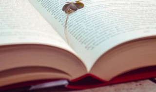 诗经里寓意大气的女孩名字（诗经里寓意大气的女孩名字两个字）