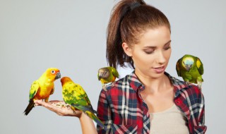 十大名贵鸟（十大名贵鸟图片）