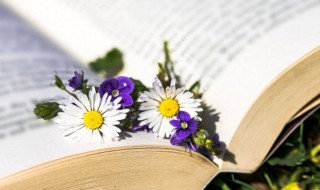 男生小名好听霸气 男生小名好听霸气叠字