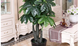 假发财树放在客厅什么位置好（假的发财树能放客厅吗）