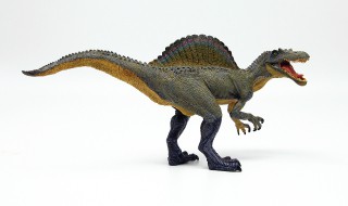 十大灭绝的可怕古生物 十大灭绝的可怕古生物鲨鱼