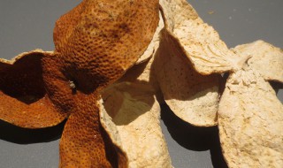 陈皮是什么做的（陈皮的原材料是什么）