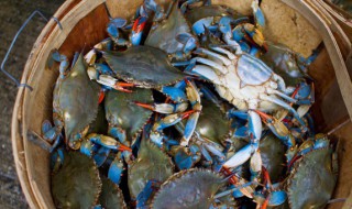 梦见买螃蟹是什么意思（梦见买螃蟹是什么意思咬别人 ,自己捉住螃蟹关起来）