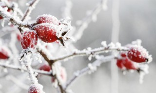 天气凉了发给顾客的问候语（天气凉了发给顾客的问候语简短）