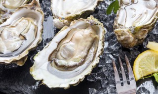 生蚝的功效有哪些 生蚝的功效有哪些?